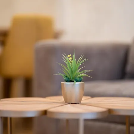 Apartment Lux M&b
