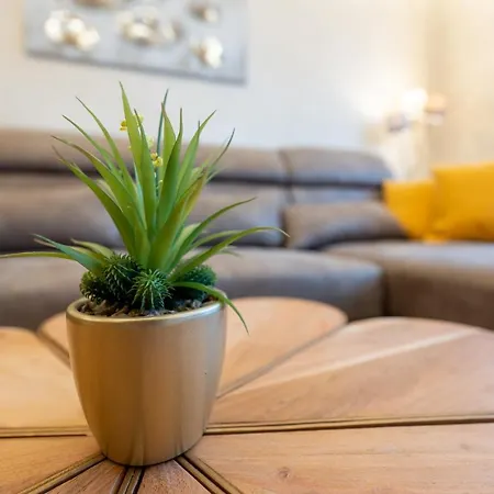 Apartment Lux M&b