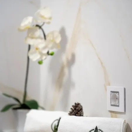 Apartment Lux M&b Zlatibor