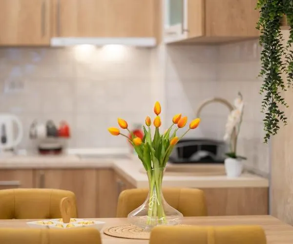 Lux M&b Ζλάτιμπορ